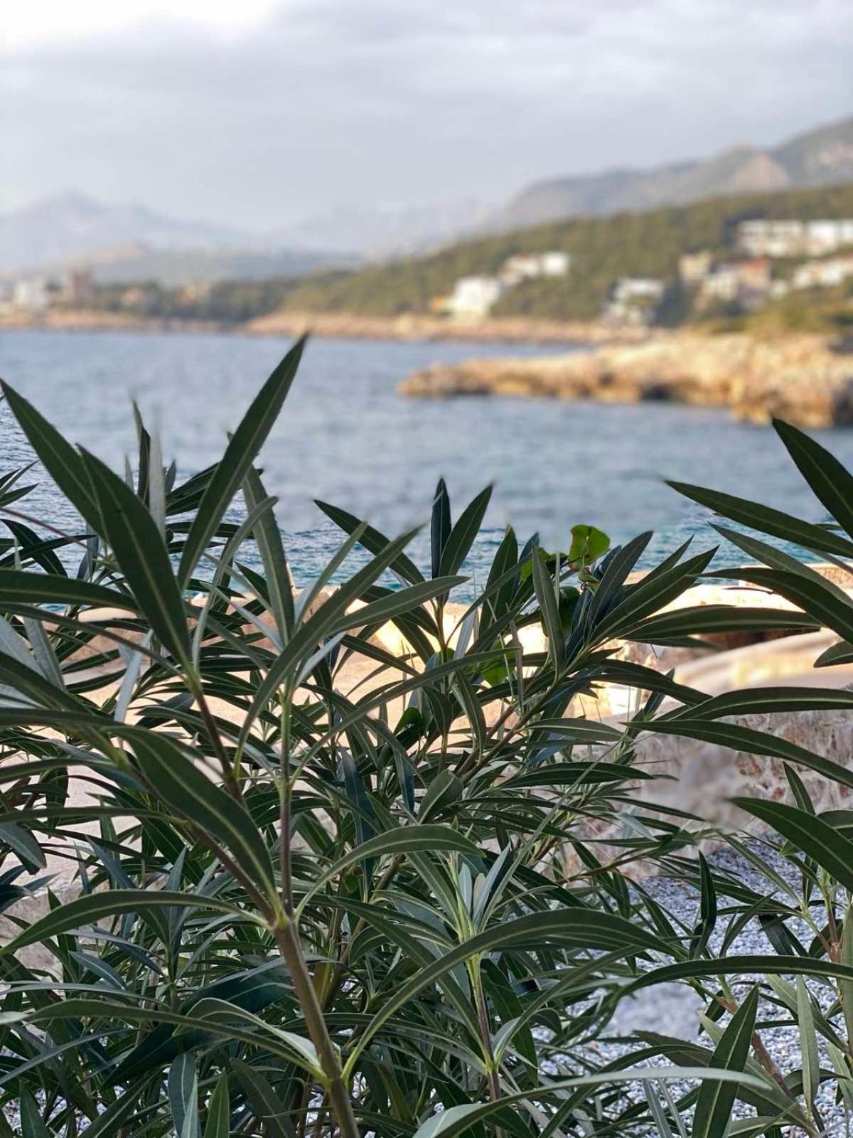 Seastar Eco Villa Utjeha Kültér fotó